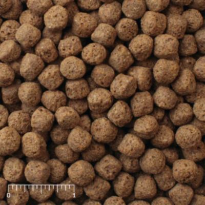 Image showing 6 th Mazuri Koi Platinum Ogata Food, 20 lb. Bag