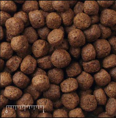 Image showing  Exotic Canine All Life Stages Dry Dog Food, 33 lb. Bag