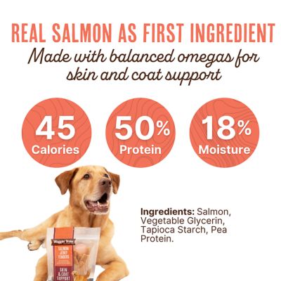 Image showing  Simply Protein for Pets Skin and Coat Support Jerky Tenders Salmon Flavor Dog Treats, 12 oz.