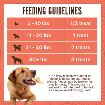 Image showing  Simply Protein for Pets Skin and Coat Support Jerky Tenders Salmon Flavor Dog Treats, 12 oz.