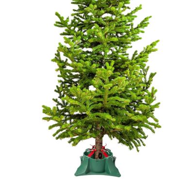 Image showing Steel Support Arm for Trees 1-9 ft., Includes POP Display