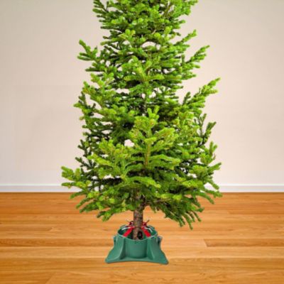 Image showing Steel Support Arm for Trees 1-9 ft., Includes POP Display