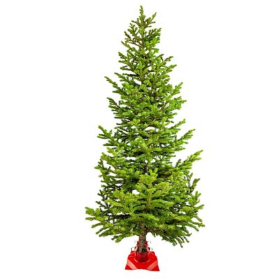 Image showing  Supreme Tree Stand for Trees 7-11 ft.