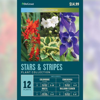 DeGroot Stars & Stripes Plant Collection