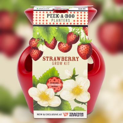 DeGroot Peek-A-Boo Strawberry Planter Grow Kit