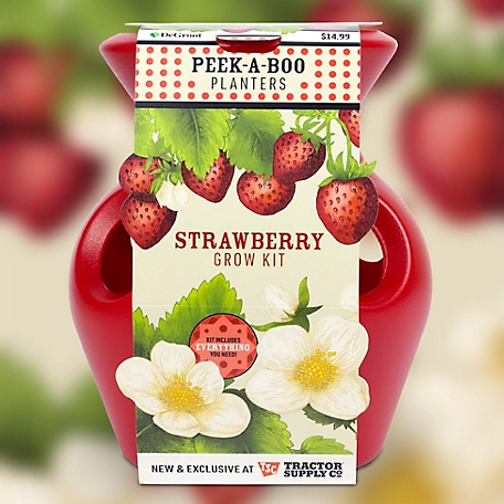 DeGroot Peek-A-Boo Strawberry Planter Grow Kit
