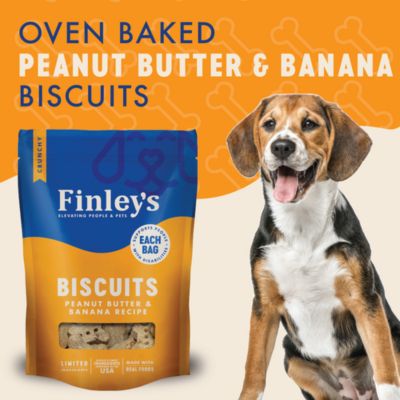 Image showing  Peanut Butter Banana Crunchy Biscuits, 12 oz.