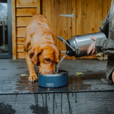 Image showing  Boomer 4 Stainless Steel Dog Bowl