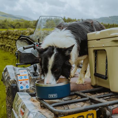 Image showing  Boomer 4 Stainless Steel Dog Bowl