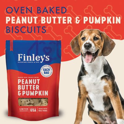 Image showing  Peanut Butter Pumpkin Crunchy Biscuits, 12 oz.