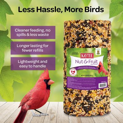 Image showing  Nut & Fruit Seed Cylinder