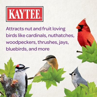 Image showing  Nut & Fruit Seed Cylinder