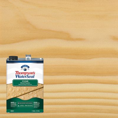 Thompson's WaterSeal 1 gal. Clear Wood Sealer, Clear