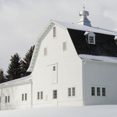 Image showing  5 gal. White Barn and Fence Latex Exterior Paint, Flat