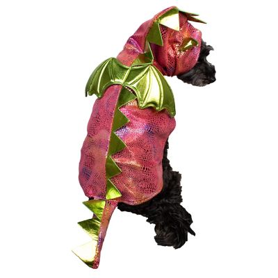 Retriever Dragon Full Costume