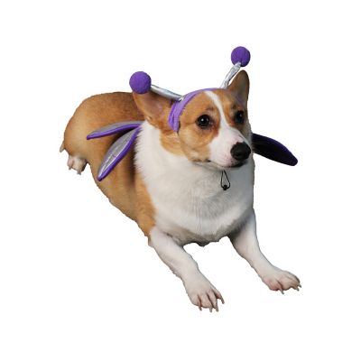 Retriever Dragonfly Wings Dog Costume