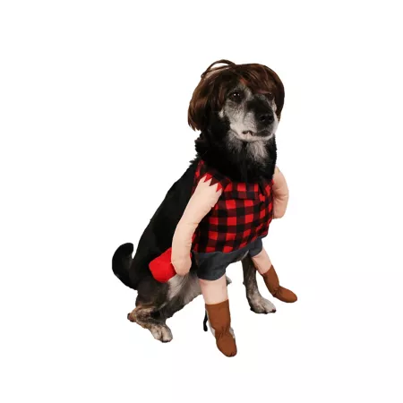 Retriever Mullet and Jorts Dog Costume Dog Costumes