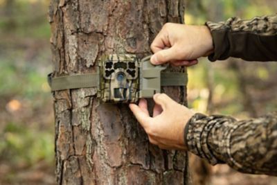 Image showing 5 th Moultrie 42 MP Micro-42i Trail Camera Bundle