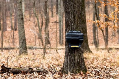 Image showing  Feed Bin