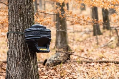 Image showing  Feed Bin