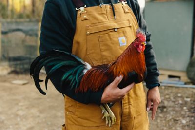 Image showing 6 th Carhartt Men's Loose Fit Firm Duck Insulated Bib Overall