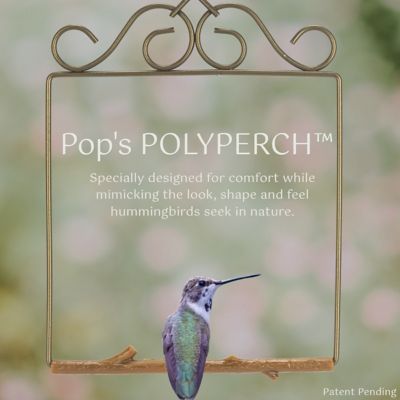 Image showing  Original Hummingbird Swing, Bronze