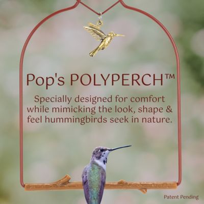 Image showing  Charm Hummingbird Swing, Redwood