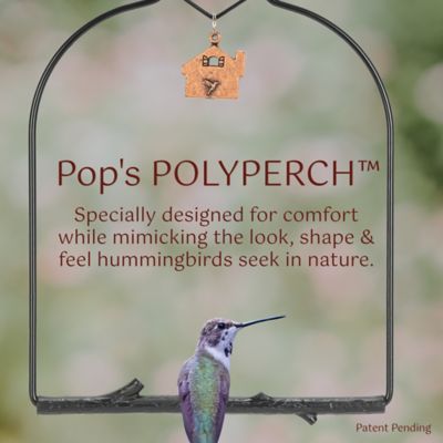 Image showing  Charm Hummingbird Swing, Onyx