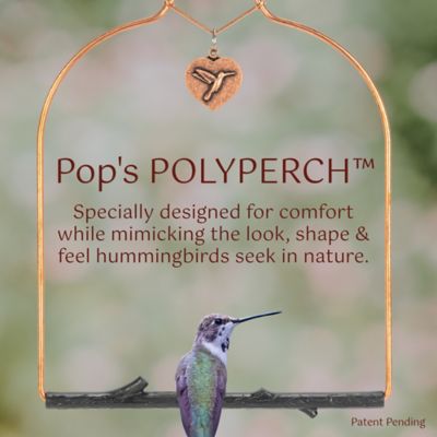 Image showing  Copper Hummingbird Swing, Rustic Black Perch