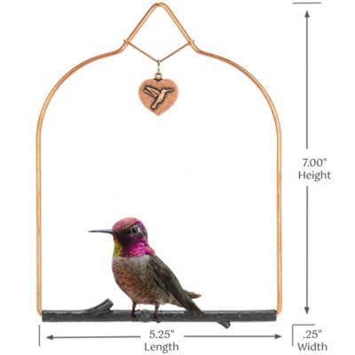 Image showing 5 th Pop's Birding Copper Hummingbird Swing, Rustic Black Perch