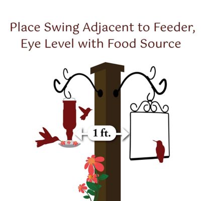 Image showing 6 th Pop's Birding Copper Hummingbird Swing, Rustic Black Perch