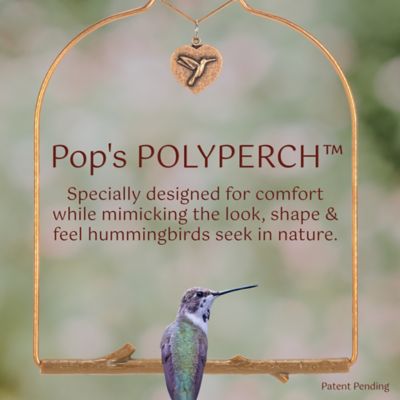 Image showing  Copper Hummingbird Swing, Bark Brown Perch