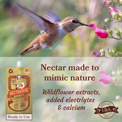 Image showing  Nectarade Ready to Use Hummingbird Nectar, 8.5 oz.
