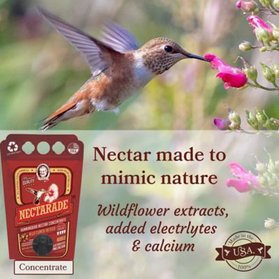 Image showing  Pop's Nectarade Hummingbird Nectar Concentrate, 50.7 oz.
