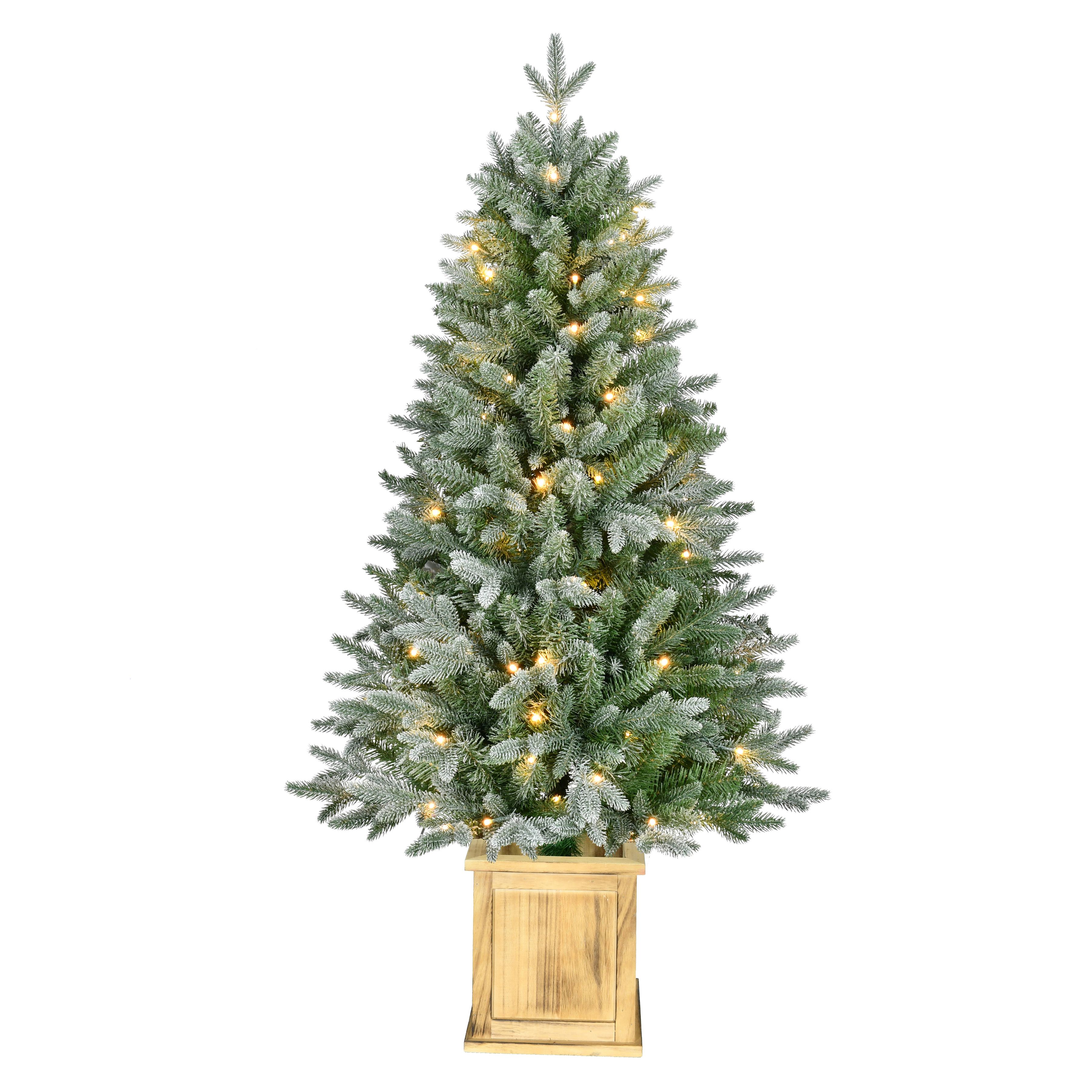 image of a Christmas Trees