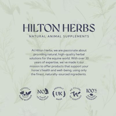 Image showing  Bye Bye Fly Garlic Granules for Horses, 2.2 lb. Bag