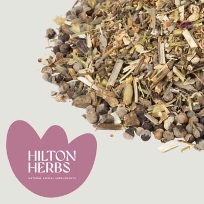 Image showing  Easy Mare Moody Mares & Studdy Geldings Horse Supplement, 2.2 lb. Bag