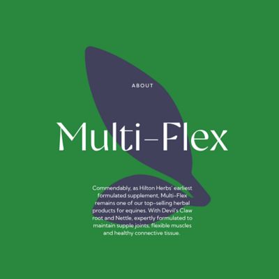 Image showing 5 th Hilton Herbs Multi-Flex Joint, Muscular Health and Mobility Horse Supplement, 2.2 lb. Bag