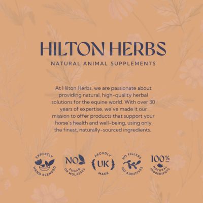 Image showing 6 th Hilton Herbs Multi-Flex Joint, Muscular Health and Mobility Horse Supplement, 2.2 lb. Bag