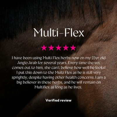 Image showing 8 th Hilton Herbs Multi-Flex Joint, Muscular Health and Mobility Horse Supplement, 2.2 lb. Bag