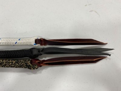 Image showing  Horseman's Reins