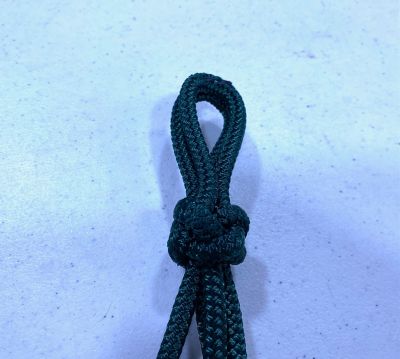 Image showing  Halter - Regular