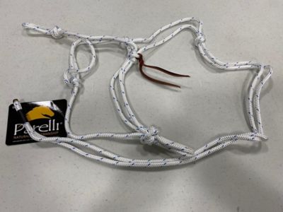 Image showing  Halter - Regular