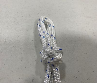 Image showing  Halter - Regular