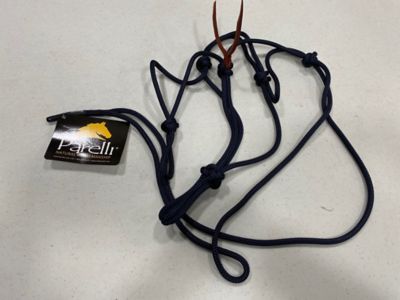 Image showing  Halter - Warmblood