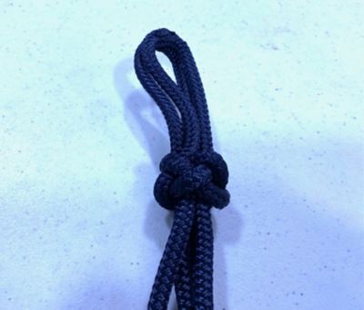 Image showing  Halter - Warmblood