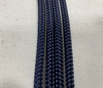 Image showing  Halter - Warmblood