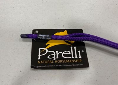 Image showing  Halter - Warmblood