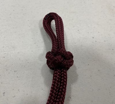 Image showing  Halter - Warmblood