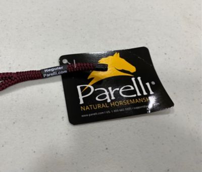 Image showing  Halter - Warmblood